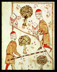 Surveying and demarcation of land, from 